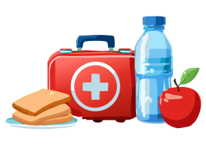 emergency kit